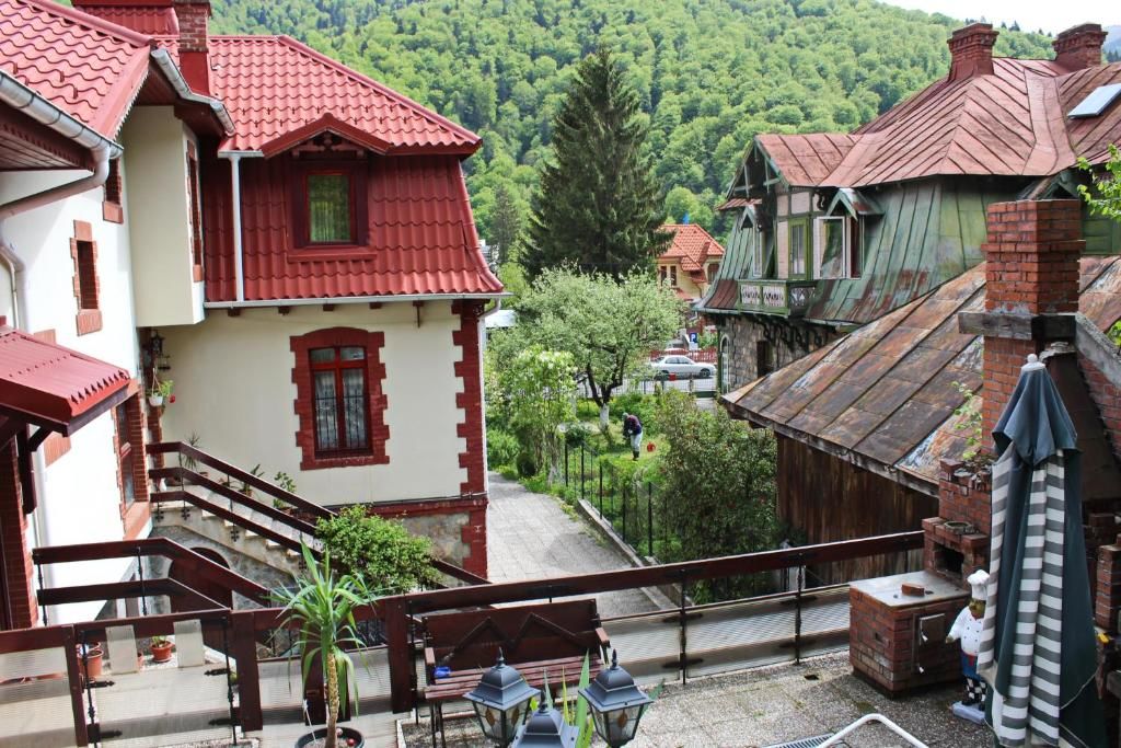 Виллы Vila Alexandra Синая