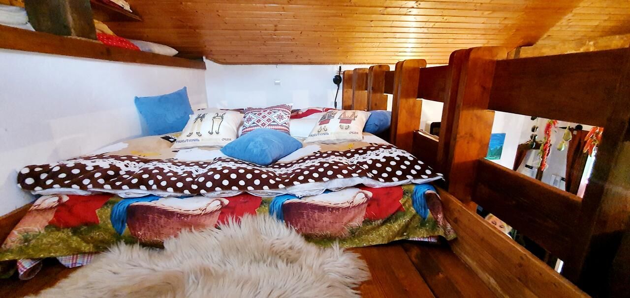 Виллы Vila Alexandra Синая