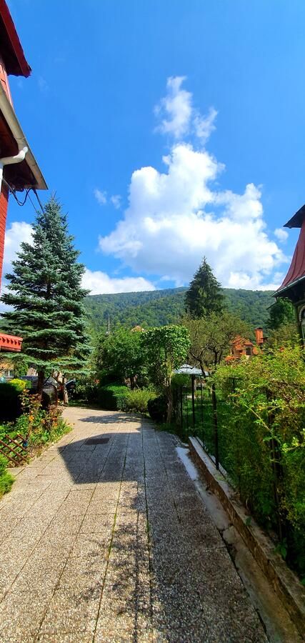 Виллы Vila Alexandra Синая