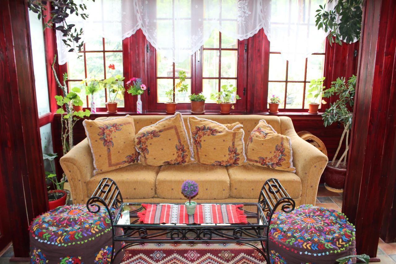 Виллы Vila Alexandra Синая