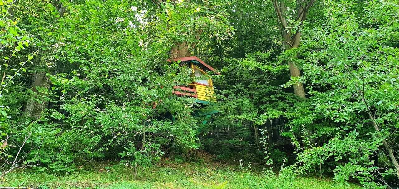 Виллы Vila Alexandra Синая