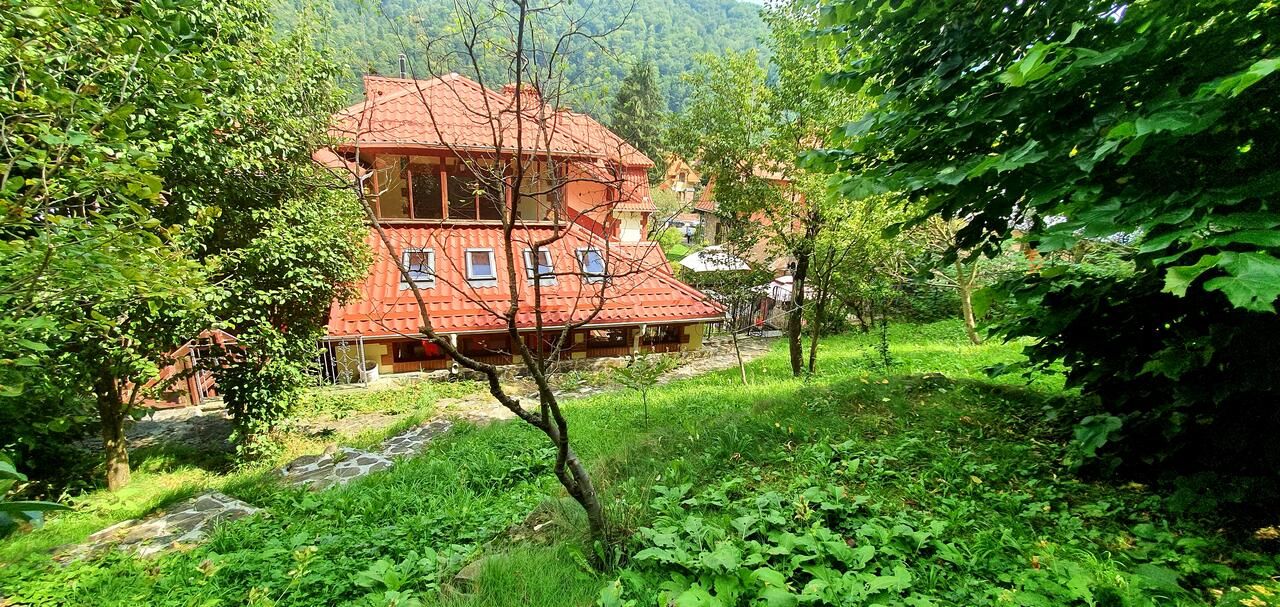 Виллы Vila Alexandra Синая