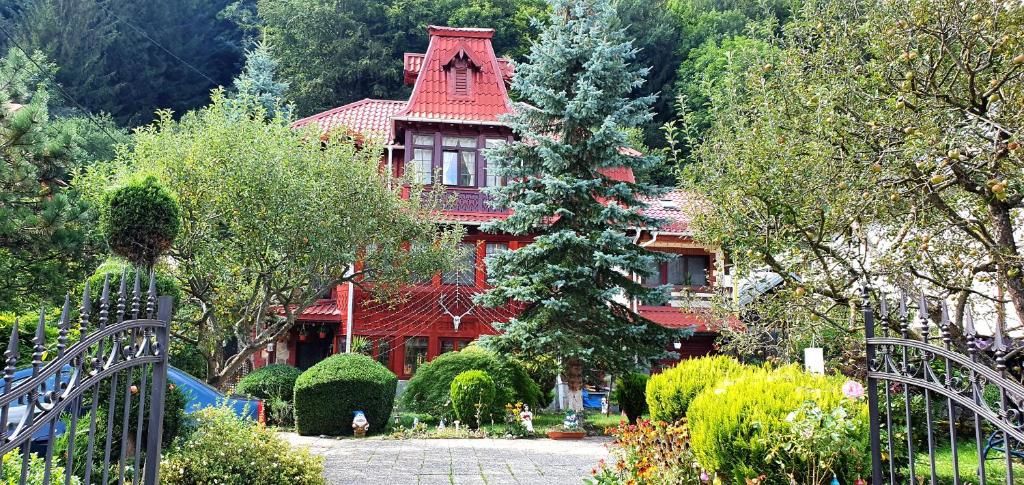 Виллы Vila Alexandra Синая