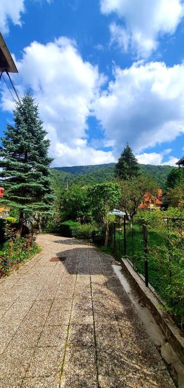 Виллы Vila Alexandra Синая