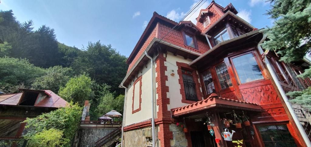 Виллы Vila Alexandra Синая