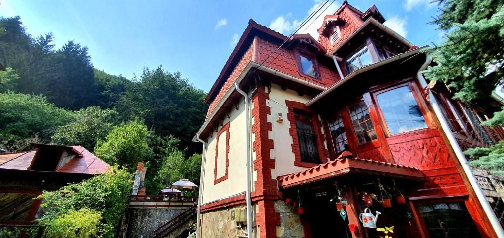 Виллы Vila Alexandra Синая