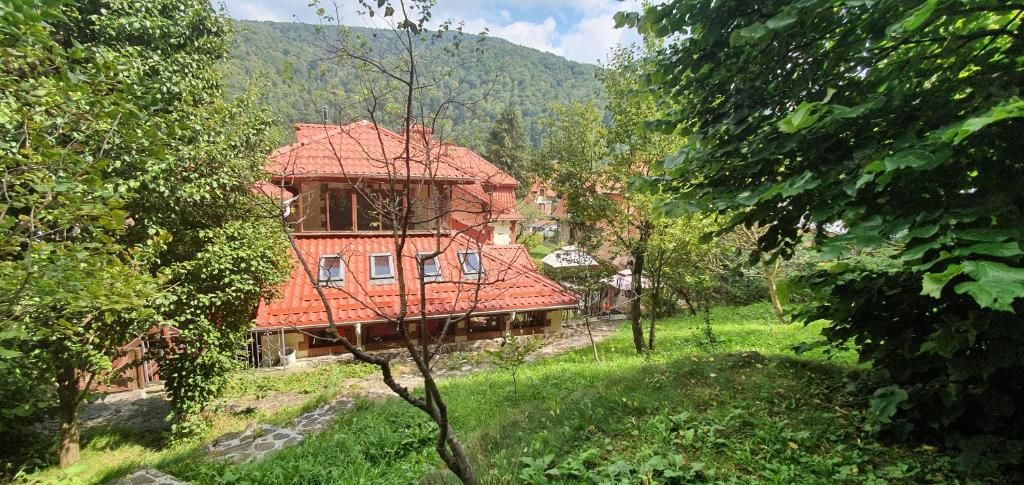 Виллы Vila Alexandra Синая