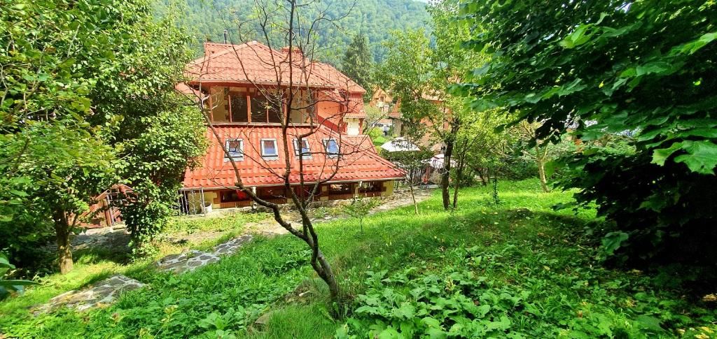 Виллы Vila Alexandra Синая