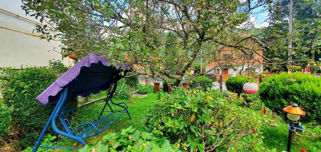 Виллы Vila Alexandra Синая